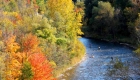 Canada, Ontario, Maple leaf, Toronto, fall colour, iCorridor Moments