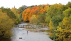 Canada, Ontario, Maple leaf, Toronto, fall colour, iCorridor Moments