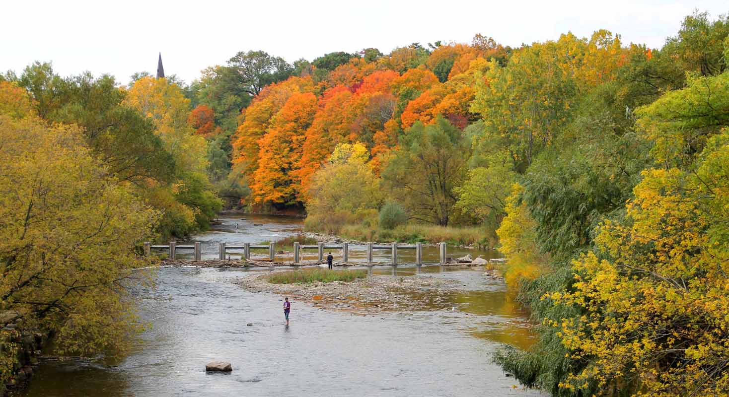 Canada, Ontario, Maple leaf, Toronto, fall colour, iCorridor Moments