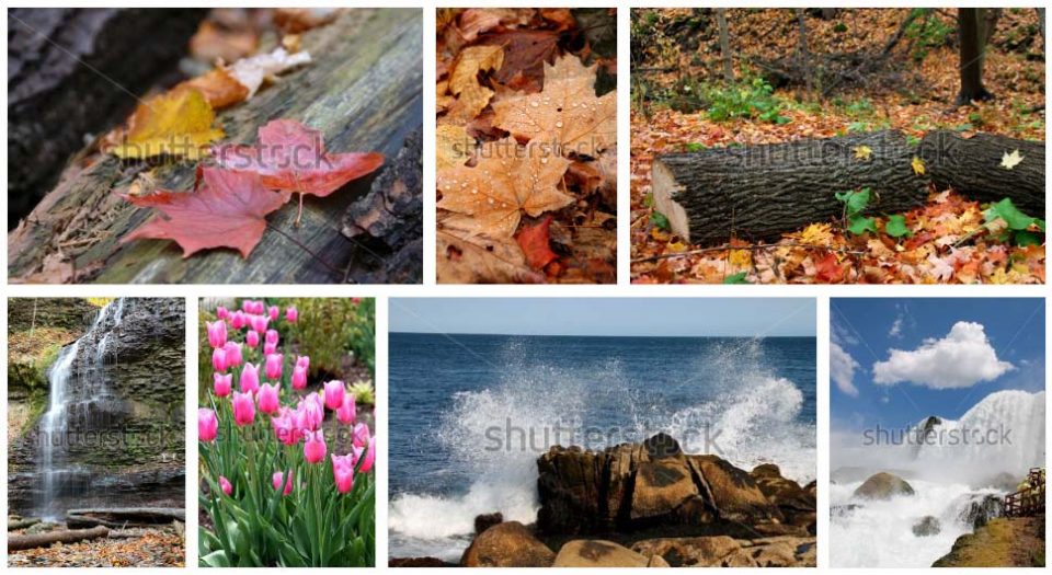 shutterstock photos for sale