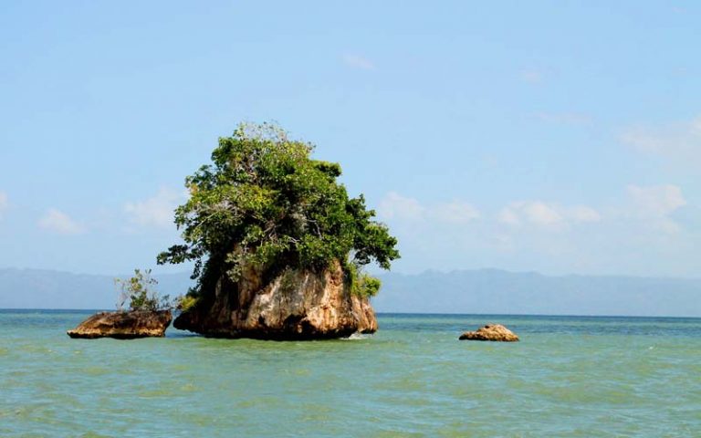 Los Haitises National Park – the Crown Jewel of Samana Bay in the ...