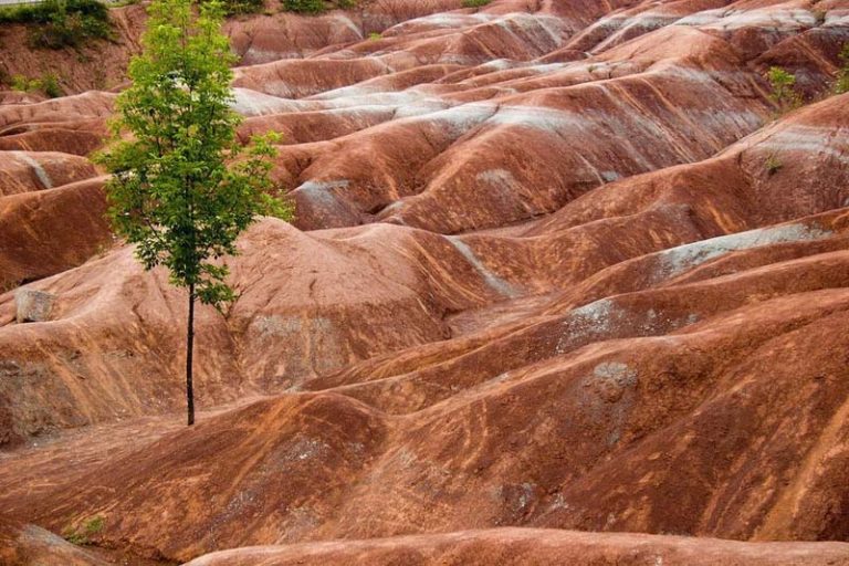 The Cheltenham Badlands: The Most Amazing Geological Treasures in 