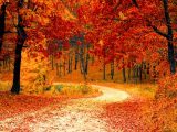 6 Ontario Getaway to Enjoy the Fall Colour