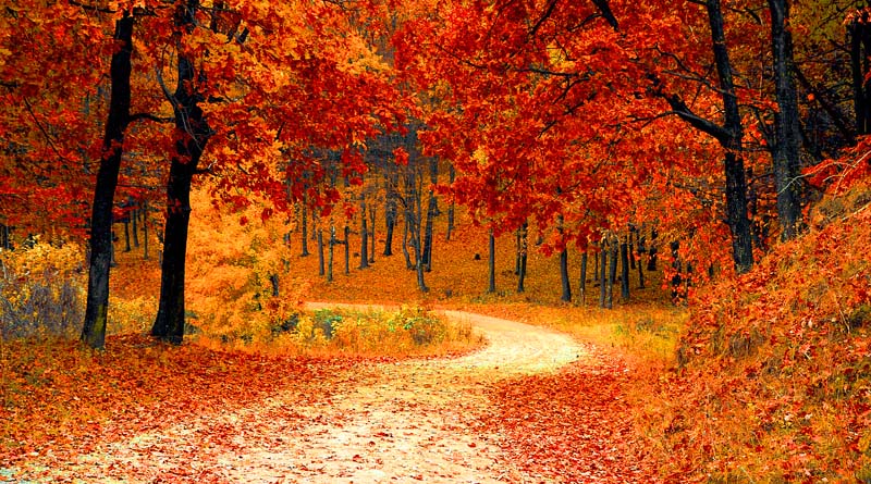 6 Ontario Getaways to Enjoy the Fall Colour